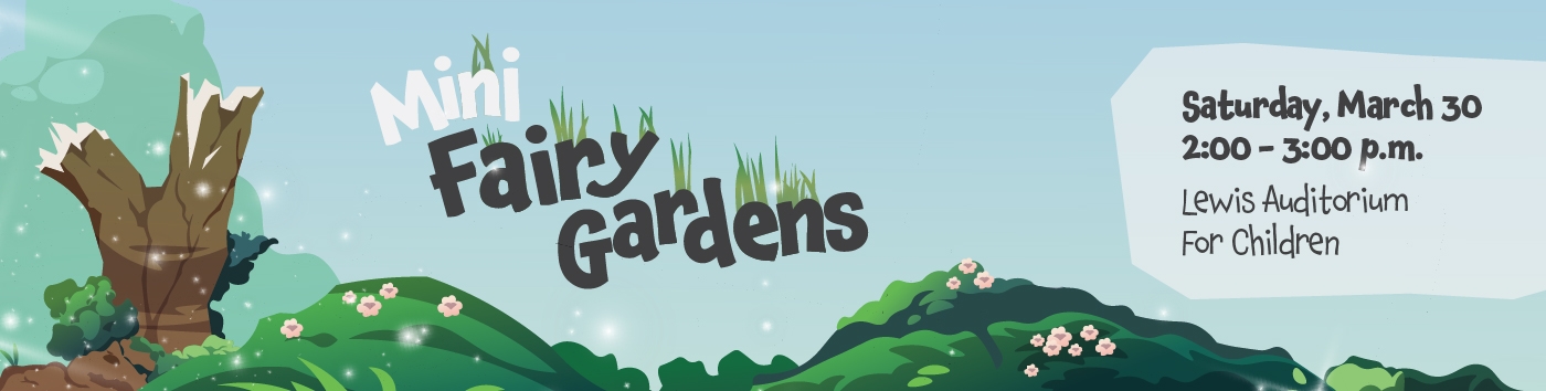 Mini Fairy Gardens